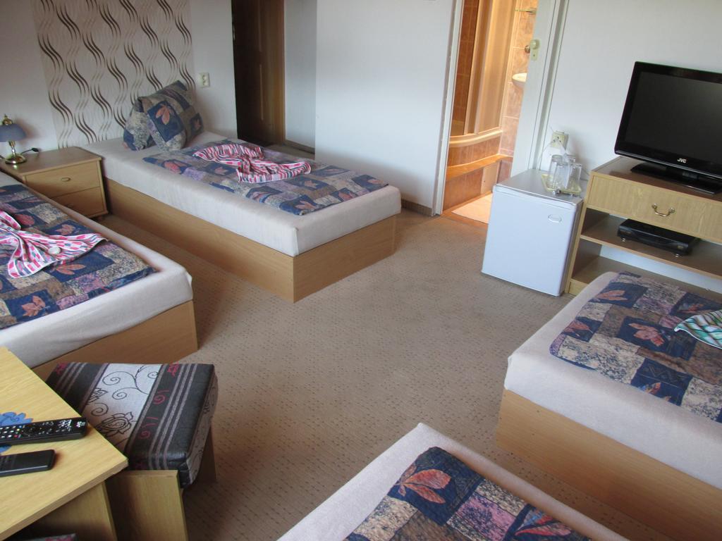 Pension U Vlasku Karlovy Vary Room photo