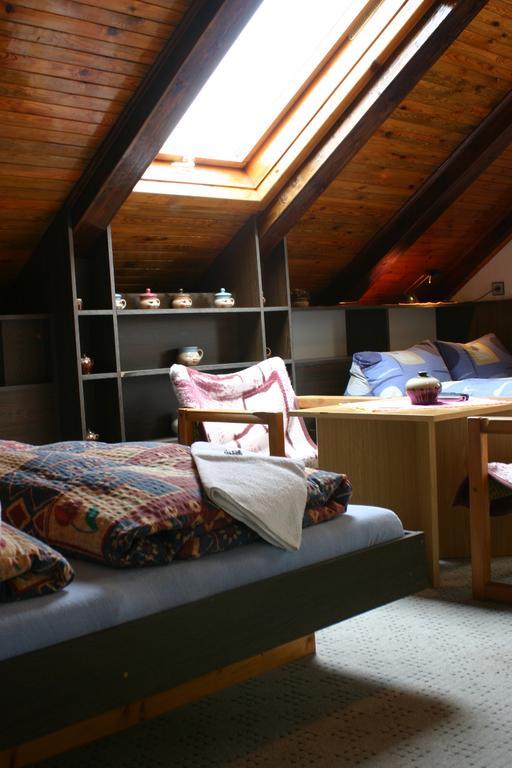 Pension U Vlasku Karlovy Vary Room photo
