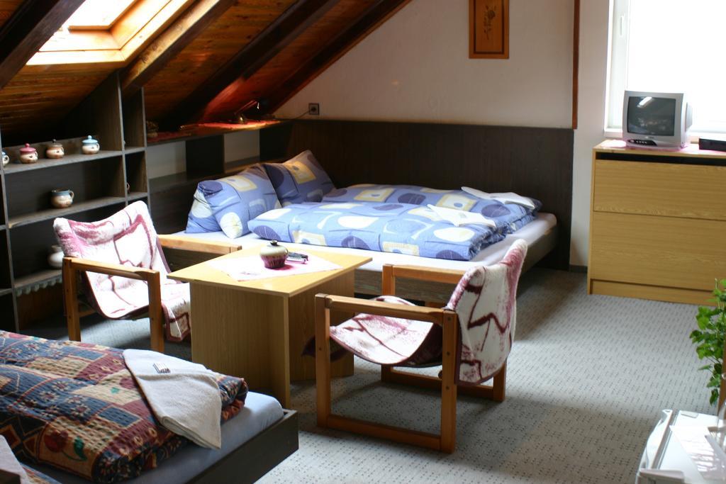 Pension U Vlasku Karlovy Vary Room photo