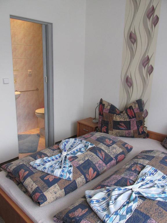 Pension U Vlasku Karlovy Vary Room photo